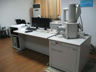 XL30环境扫描电镜